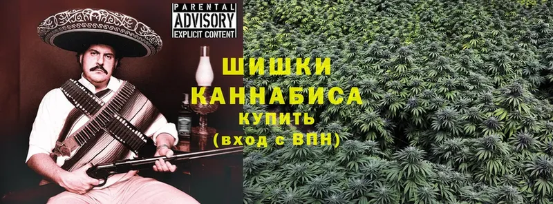 Каннабис Amnesia  Бежецк 